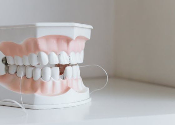A model of a tooth next to a toothbrush, illustrating dental hygiene and care practices.